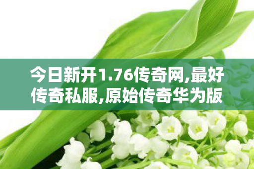 今日新开1.76传奇网,最好传奇私服,原始传奇华为版，经典重现，热血再燃