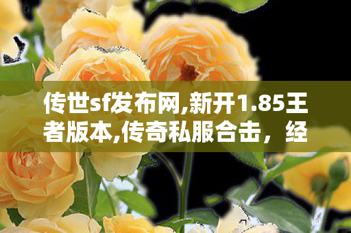 传世sf发布网,新开1.85王者版本,传奇私服合击，经典网游的重生与策略对决的艺术