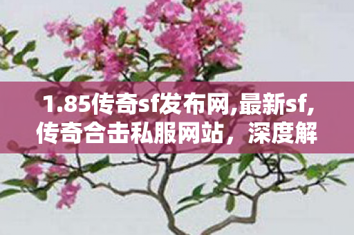1.85传奇sf发布网,最新sf,传奇合击私服网站，深度解析与全面指南