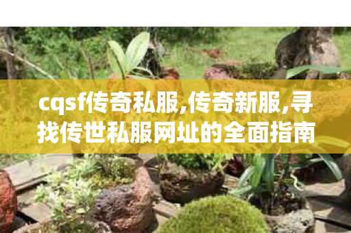 cqsf传奇私服,传奇新服,寻找传世私服网址的全面指南，从基础到高级的搜索策略