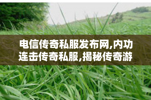 电信传奇私服发布网,内功连击传奇私服,揭秘传奇游戏，1.76金币版传奇的魅力与玩法