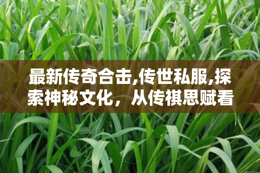 最新传奇合击,传世私服,探索神秘文化，从传祺思赋看中国汽车工业的崛起与发展