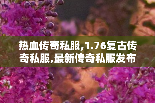 热血传奇私服,1.76复古传奇私服,最新传奇私服发布网站推荐