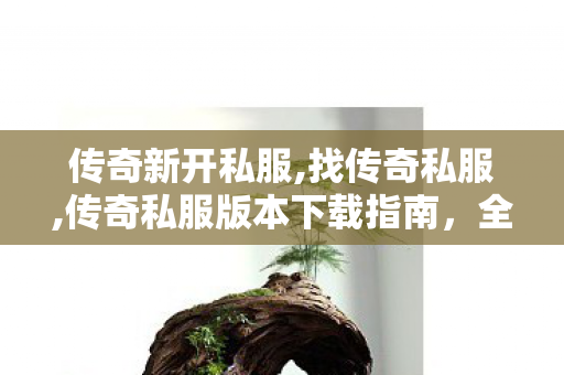 传奇新开私服,找传奇私服,传奇私服版本下载指南，全面解析与详细教程