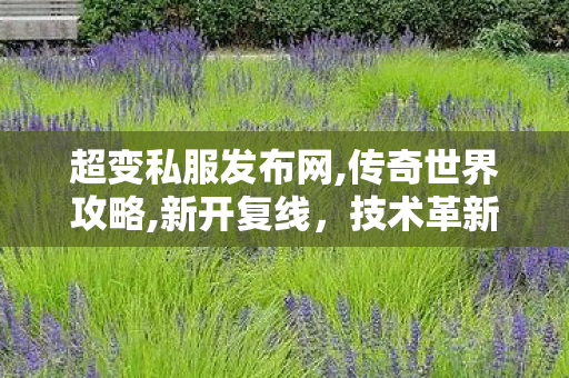 超变私服发布网,传奇世界攻略,新开复线，技术革新与未来交通的深度融合