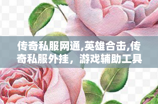 传奇私服网通,英雄合击,传奇私服外挂，游戏辅助工具的利与弊