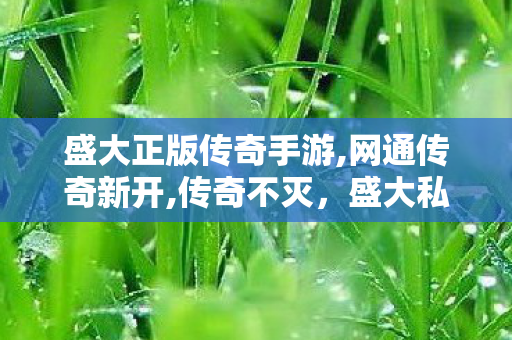 盛大正版传奇手游,网通传奇新开,传奇不灭，盛大私服——经典网游的辉煌再现