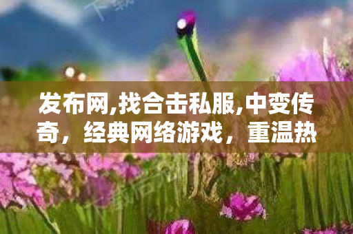 发布网,找合击私服,中变传奇，经典网络游戏，重温热血青春