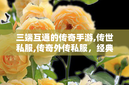 三端互通的传奇手游,传世私服,传奇外传私服，经典重现，热血再燃！