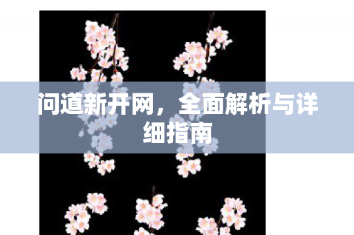 问道新开网，全面解析与详细指南