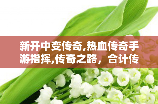 新开中变传奇,热血传奇手游指挥,传奇之路，合计传奇的辉煌与荣耀