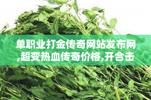单职业打金传奇网站发布网,超变热血传奇价格,开合击传奇，全新版本，重燃热血传奇之旅