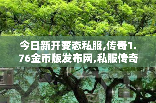 今日新开变态私服,传奇1.76金币版发布网,私服传奇世界，经典网游的魅力再现与深度解析