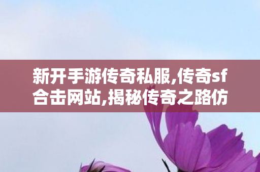 新开手游传奇私服,传奇sf合击网站,揭秘传奇之路仿盛大热血传奇私服全面解析