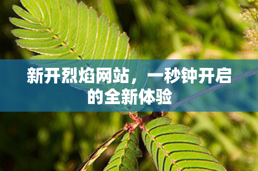 新开烈焰网站，一秒钟开启的全新体验