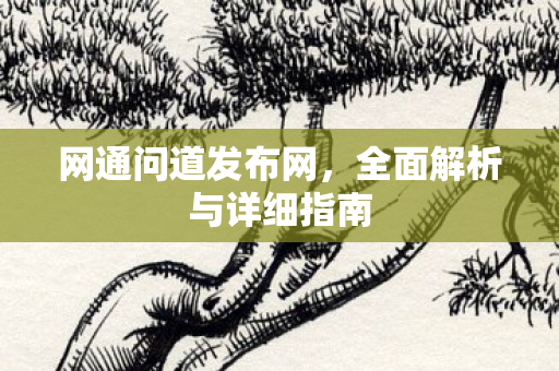 网通问道发布网，全面解析与详细指南