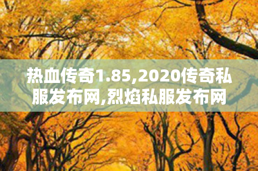 热血传奇1.85,2020传奇私服发布网,烈焰私服发布网，全面解析与11
