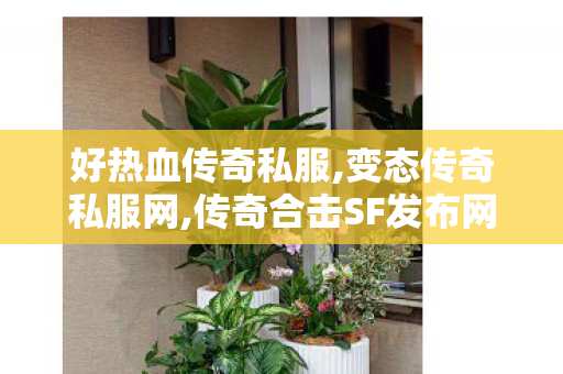 好热血传奇私服,变态传奇私服网,传奇合击SF发布网，经典传奇游戏私服资源集散地