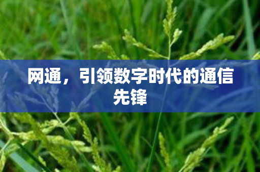 网通，引领数字时代的通信先锋