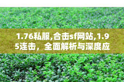 1.76私服,合击sf网站,1.95连击，全面解析与深度应用指南