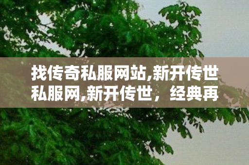 找传奇私服网站,新开传世私服网,新开传世，经典再现，传奇启航