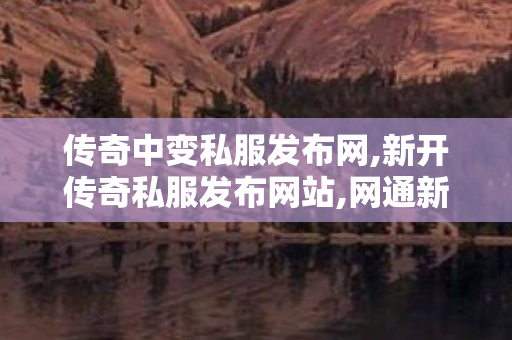 传奇中变私服发布网,新开传奇私服发布网站,网通新开传奇私服介绍及1分析
