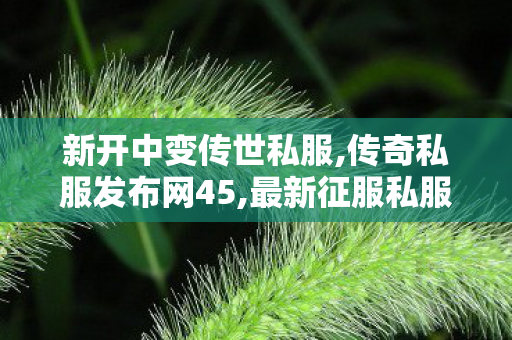 新开中变传世私服,传奇私服发布网45,最新征服私服，探索未知的冒险之旅
