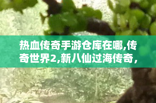 热血传奇手游仓库在哪,传奇世界2,新八仙过海传奇，神话再启，仙凡共舞的奇幻之旅