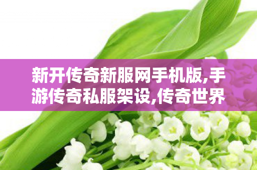 新开传奇新服网手机版,手游传奇私服架设,传奇世界3D，探索未知的虚拟世界之旅