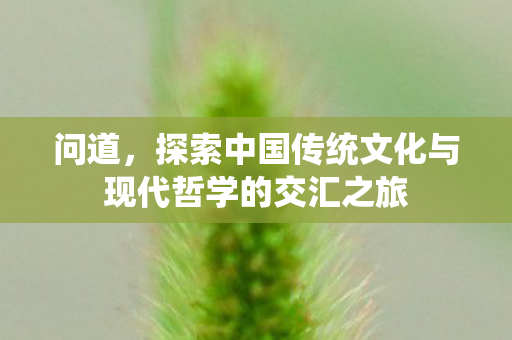 问道，探索中国传统文化与现代哲学的交汇之旅