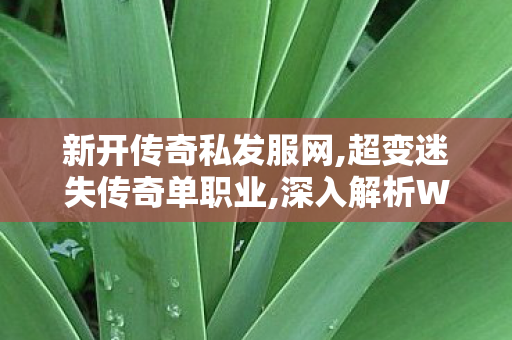 新开传奇私发服网,超变迷失传奇单职业,深入解析WOW私服，历史、特点、运营与玩家体验