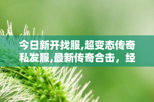 今日新开找服,超变态传奇私发服,最新传奇合击，经典重现，热血再燃