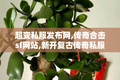 超变私服发布网,传奇合击sf网站,新开复古传奇私服，重温经典传奇游戏—— 探索传奇世界的独特魅力