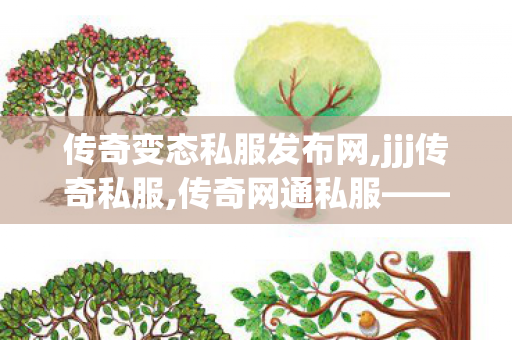 传奇变态私服发布网,jjj传奇私服,传奇网通私服——深度解析与全面了解