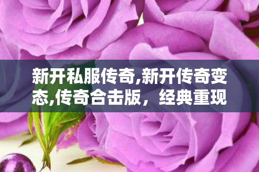 新开私服传奇,新开传奇变态,传奇合击版，经典重现，热血再燃的传奇游戏