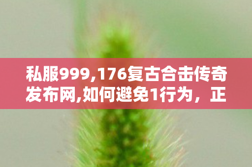 私服999,176复古合击传奇发布网,如何避免1行为，正确寻找网络游戏私服网