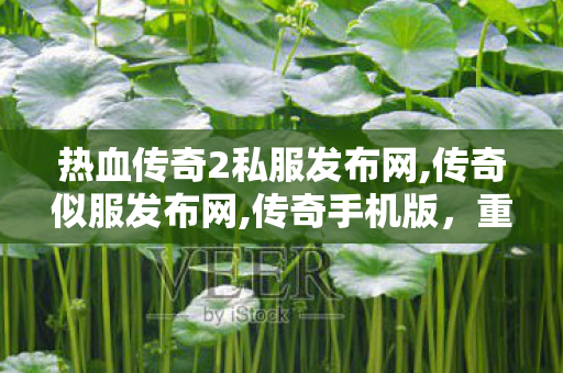 热血传奇2私服发布网,传奇似服发布网,传奇手机版，重温经典，再战沙城