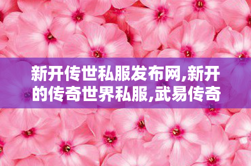新开传世私服发布网,新开的传奇世界私服,武易传奇，经典游戏之旅程与攻略