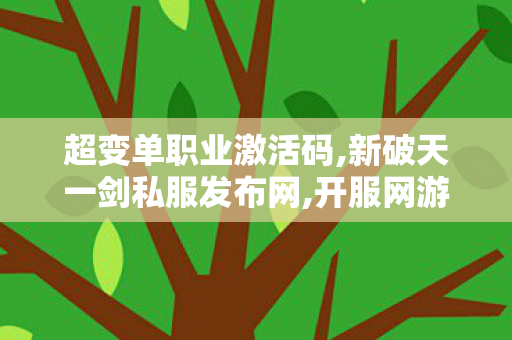 超变单职业激活码,新破天一剑私服发布网,开服网游戏攻略，全面解析游戏体验与快速上手技巧