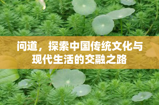 问道，探索中国传统文化与现代生活的交融之路