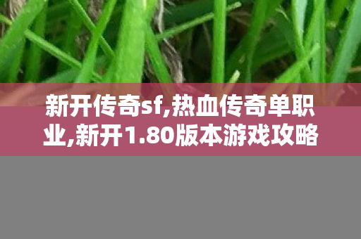 新开传奇sf,热血传奇单职业,新开1.80版本游戏攻略，全面解析游戏玩法与特1