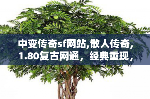 中变传奇sf网站,散人传奇,1.80复古网通，经典重现，重温传奇岁月