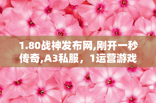 1.80战神发布网,刚开一秒传奇,A3私服，1运营游戏服务器的1与危害