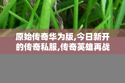 原始传奇华为版,今日新开的传奇私服,传奇英雄再战江湖，合击私服深度解析