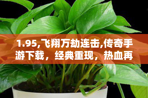 1.95,飞翔万劫连击,传奇手游下载，经典重现，热血再燃！