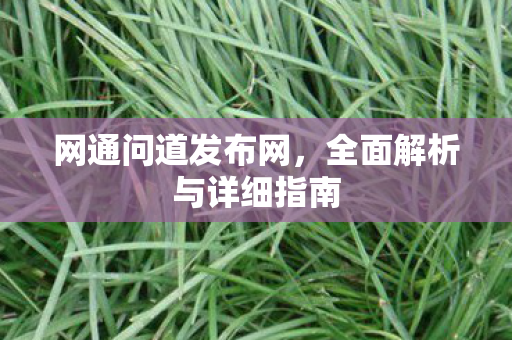 网通问道发布网，全面解析与详细指南