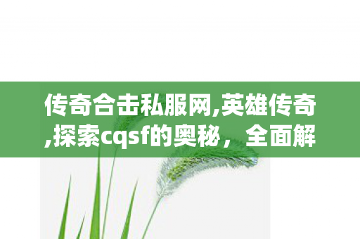 传奇合击私服网,英雄传奇,探索cqsf的奥秘，全面解析cqsf的定义、应用与未来发展