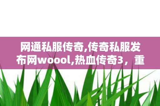 网通私服传奇,传奇私服发布网woool,热血传奇3，重燃青春，铸就传奇