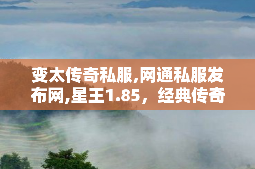 变太传奇私服,网通私服发布网,星王1.85，经典传奇游戏的核心体验与全面解析
