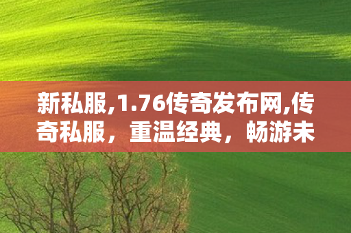 新私服,1.76传奇发布网,传奇私服，重温经典，畅游未知的冒险世界